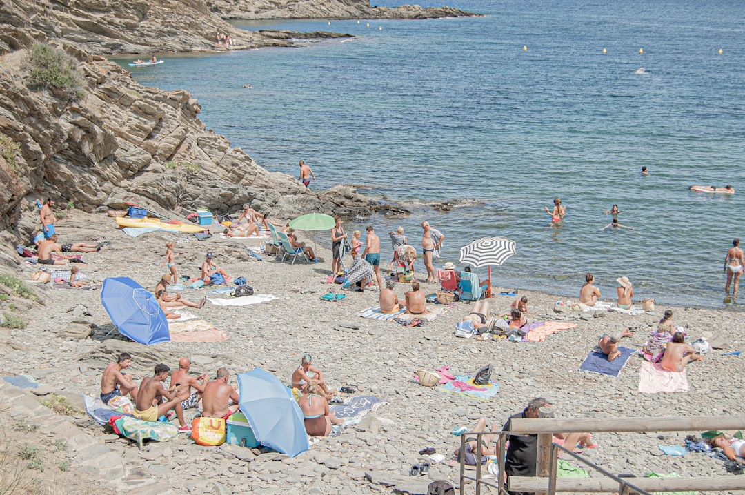 people on beach during daytime
