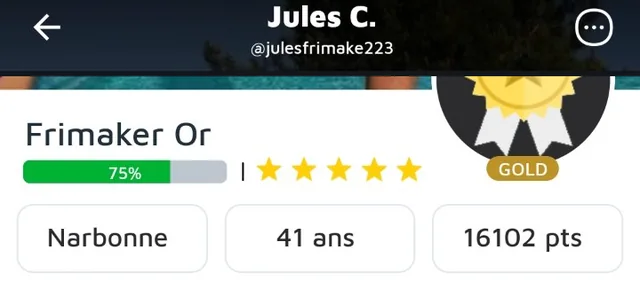 Profil Frimake de Jules, statut Frimaker Or, 16 102 points